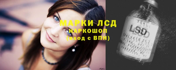 крисы Бугульма