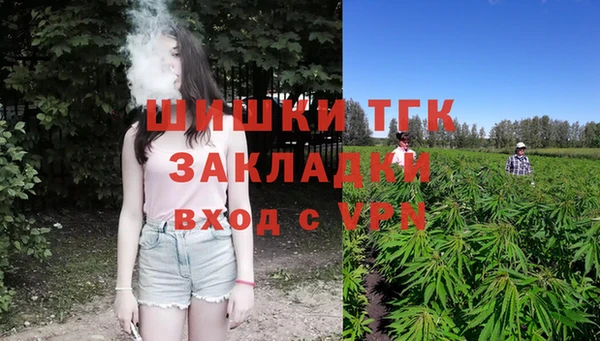 spice Верхний Тагил