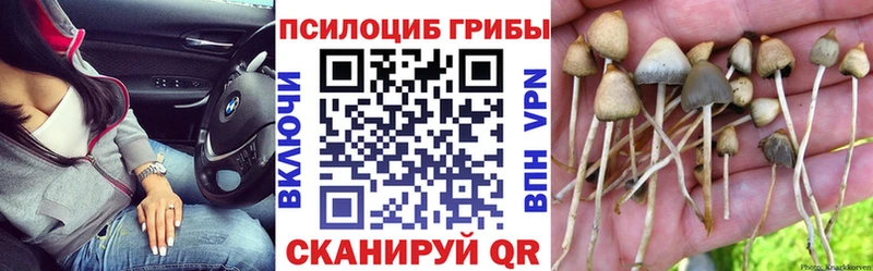 Галлюциногенные грибы Psilocybine cubensis  ОМГ ОМГ зеркало  Гурьевск  продажа наркотиков 