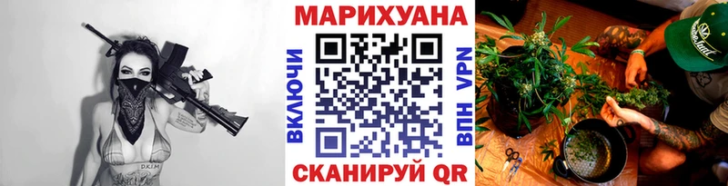 дарнет шоп  мега как зайти  Бошки марихуана тримм  Гурьевск 